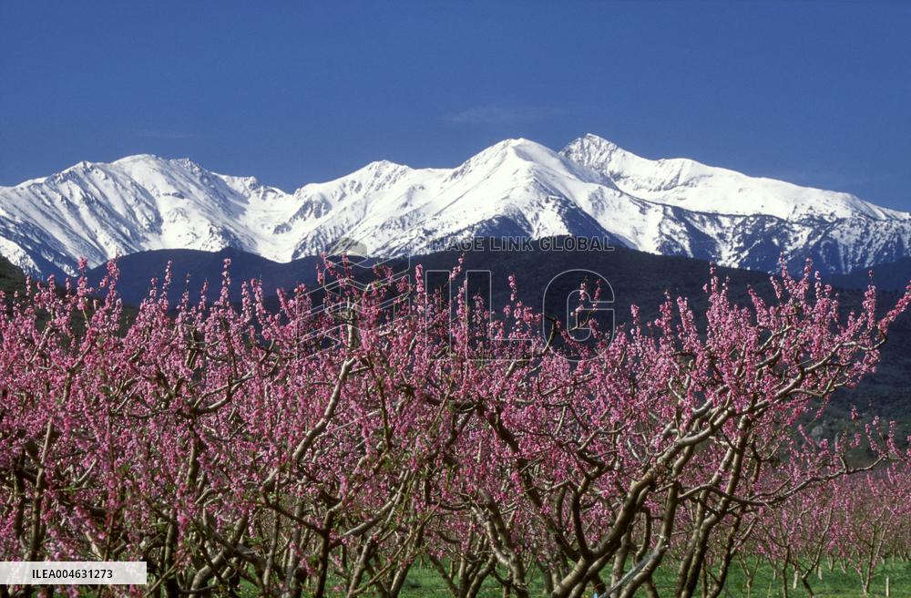Illustration - Occitanie