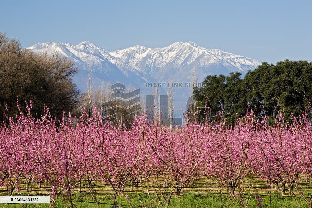 Illustration - Occitanie