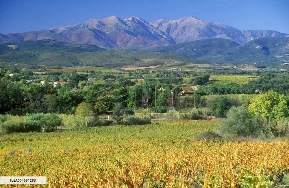 Illustration - Occitanie