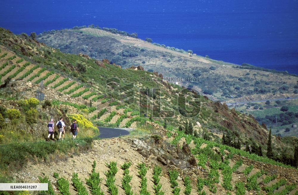 Illustration - Occitanie