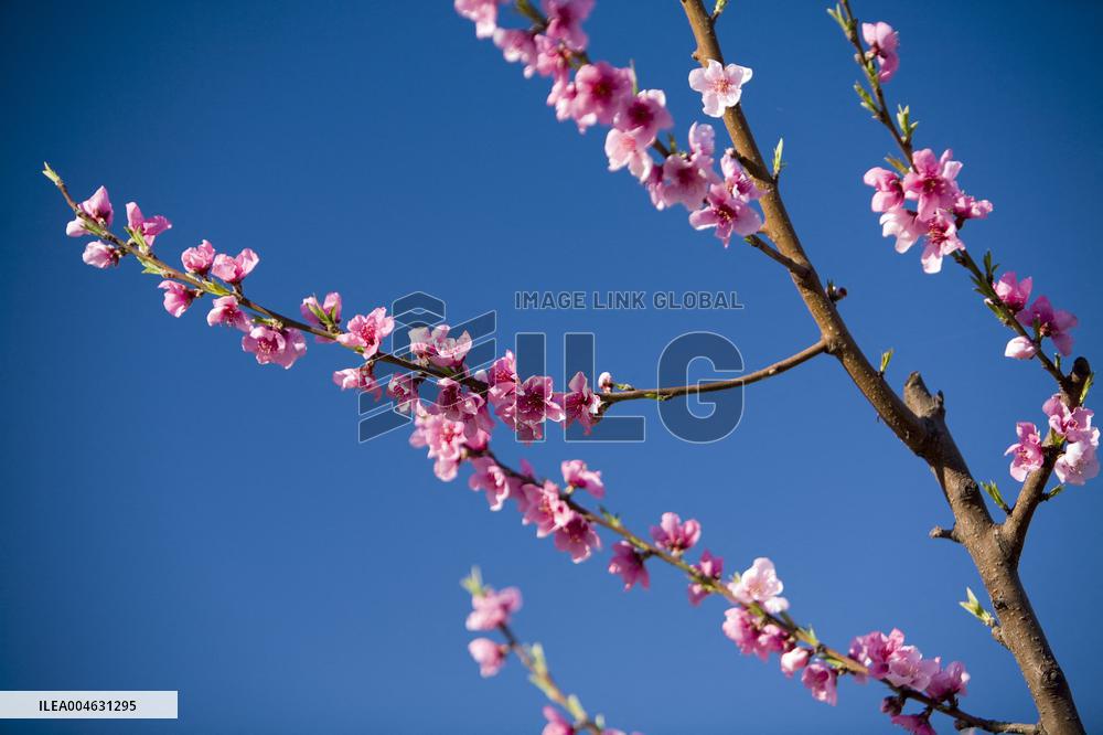 Illustration - Occitanie