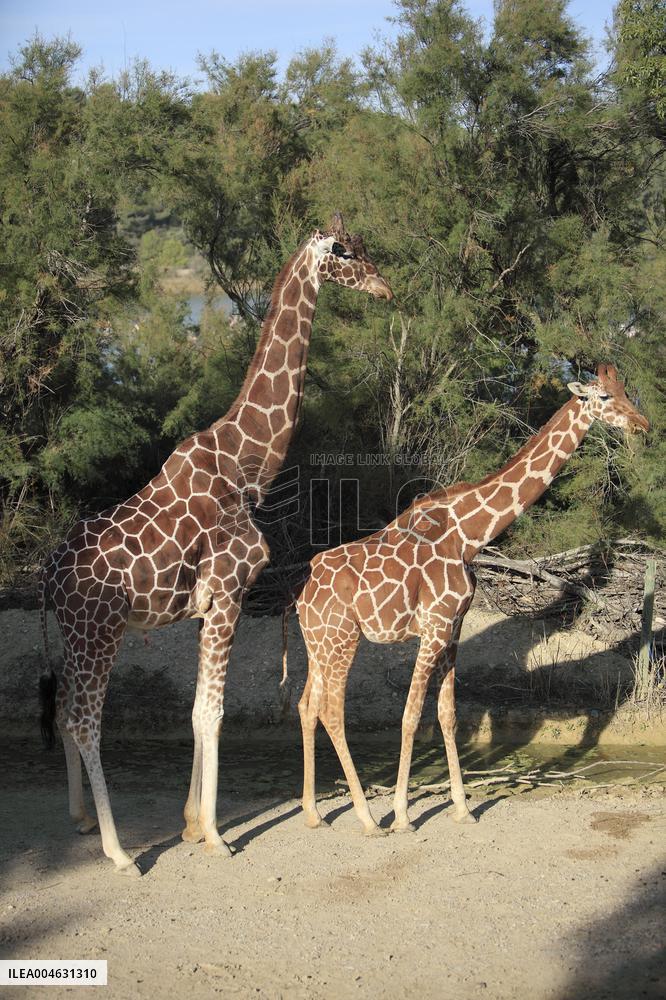 Illustration - Occitanie