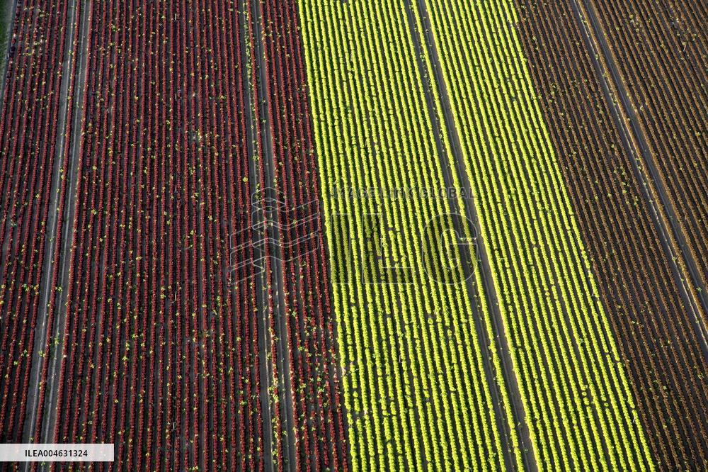 Illustration - Occitanie