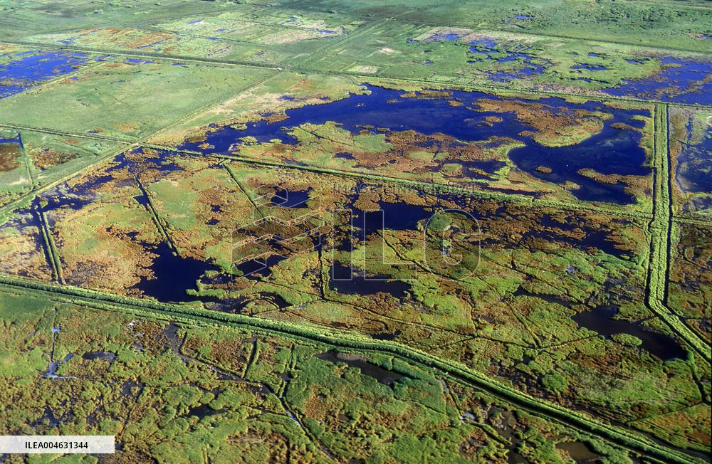 Illustration - Occitanie