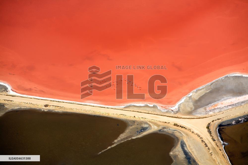 Illustration - Occitanie