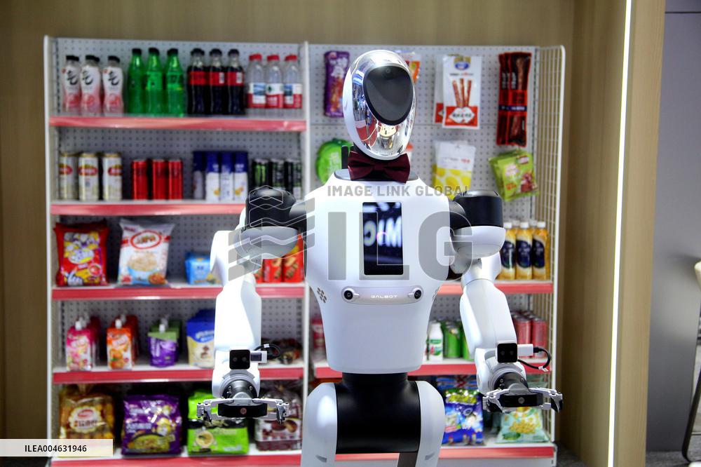 2025 WORLD ROBOT CONFERENCE