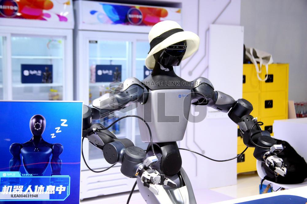 2025 WORLD ROBOT CONFERENCE