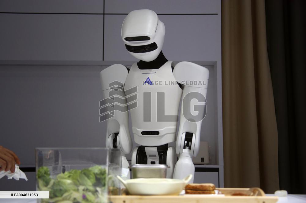 2025 WORLD ROBOT CONFERENCE