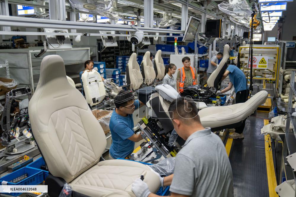 China EV Industry Chain