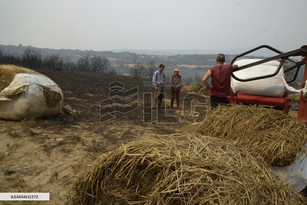 Forest Fires Continue to Burn in Northern Spain