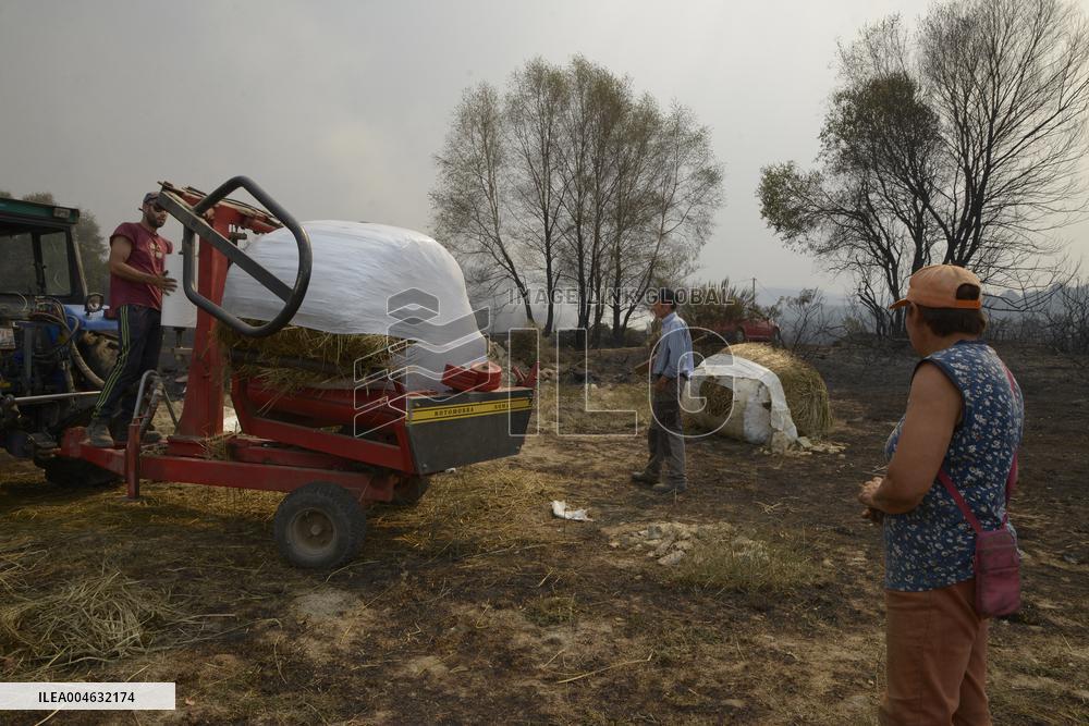 Forest Fires Continue to Burn in Northern Spain