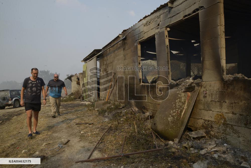 Forest Fires Continue to Burn in Northern Spain