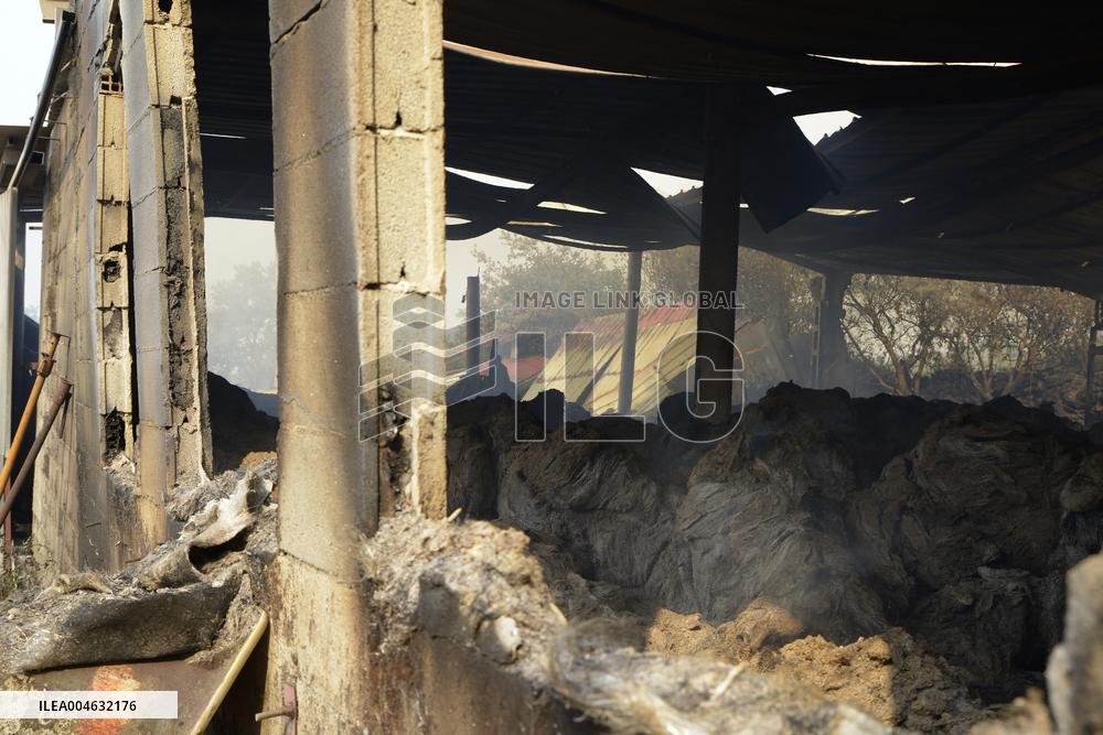 Forest Fires Continue to Burn in Northern Spain