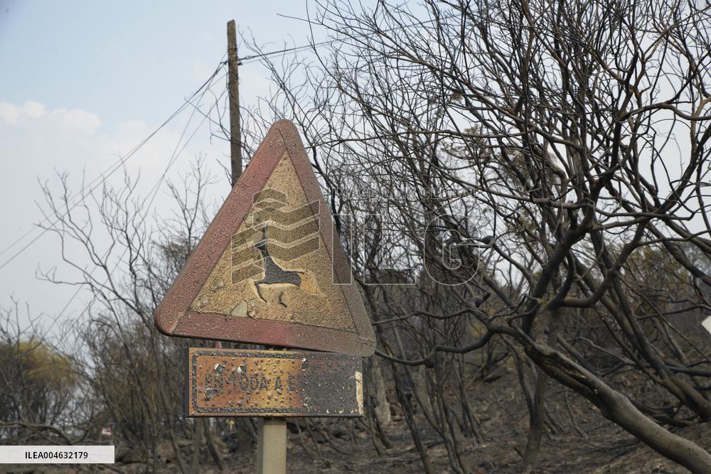Forest Fires Continue to Burn in Northern Spain