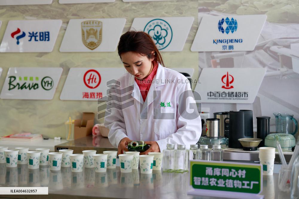 Smart Agriculture Plant Factory Opens in Kuqa Xinjiang - China