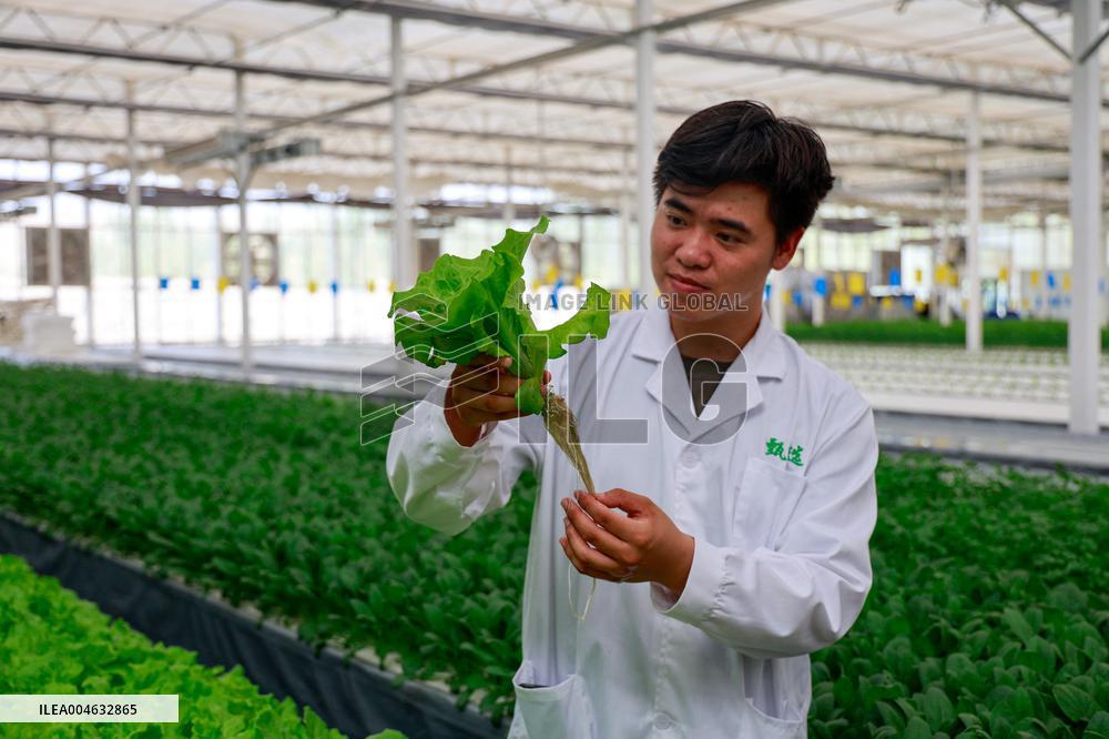 Smart Agriculture Plant Factory Opens in Kuqa Xinjiang - China