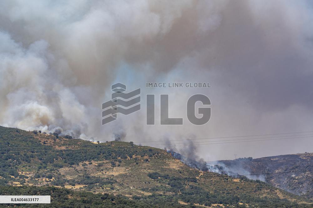 Efforts Underway to Contain Jarilla Fire Stretching 48 km - Spain