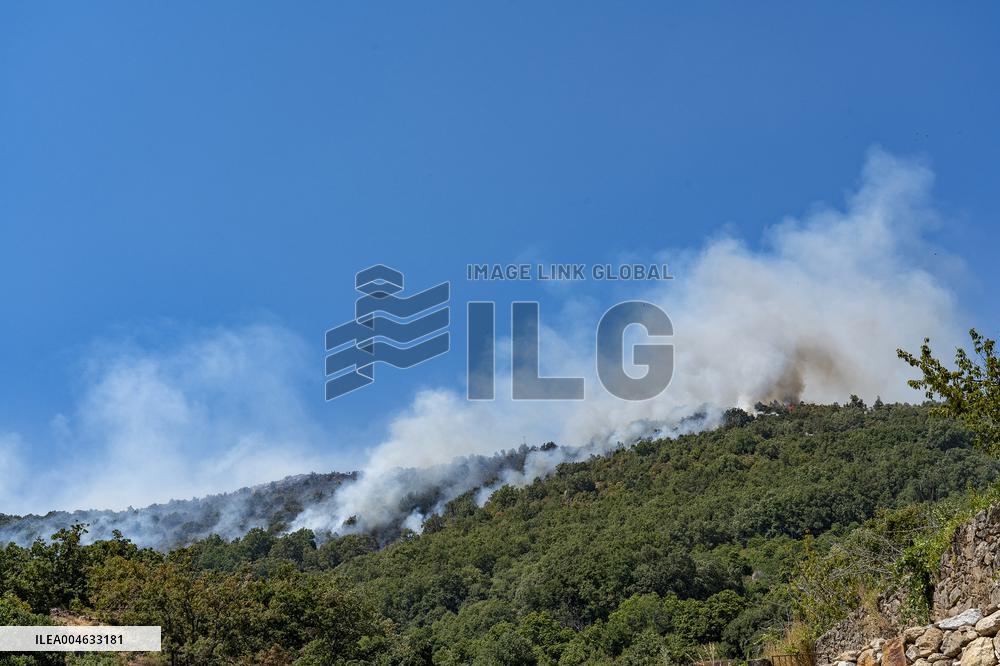 Efforts Underway to Contain Jarilla Fire Stretching 48 km - Spain