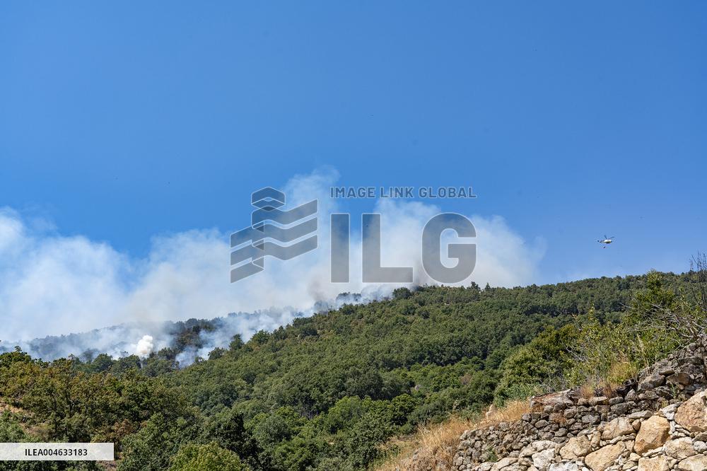 Efforts Underway to Contain Jarilla Fire Stretching 48 km - Spain