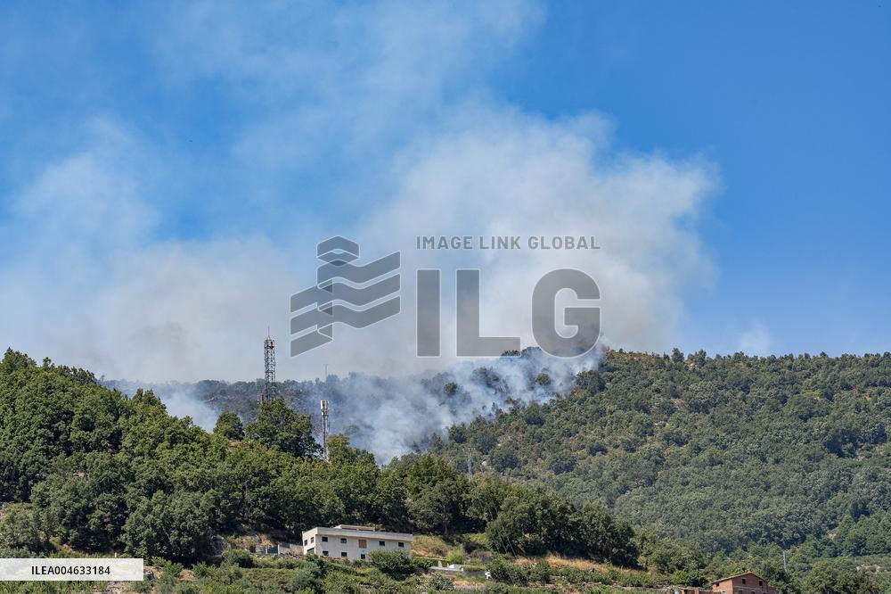 Efforts Underway to Contain Jarilla Fire Stretching 48 km - Spain