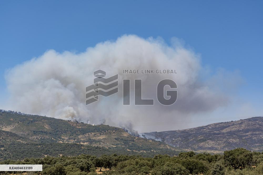 Efforts Underway to Contain Jarilla Fire Stretching 48 km - Spain