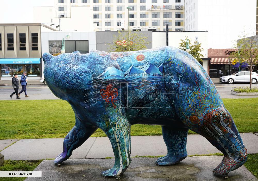 City View of Anchorage - Alaska