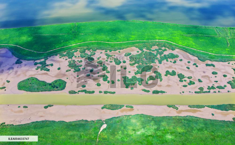 National Ecology Day