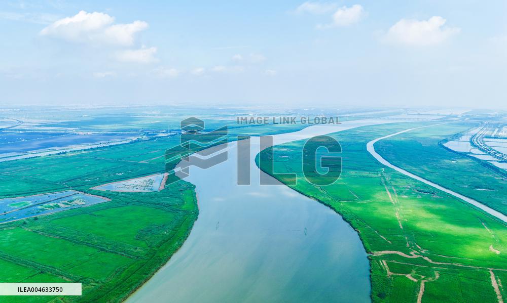 National Ecology Day