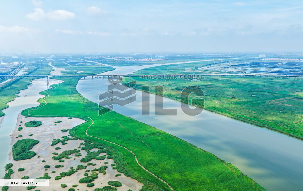 National Ecology Day