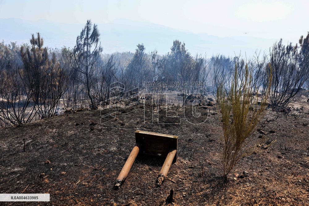 2025 Wildfires Threaten Naples - Italy