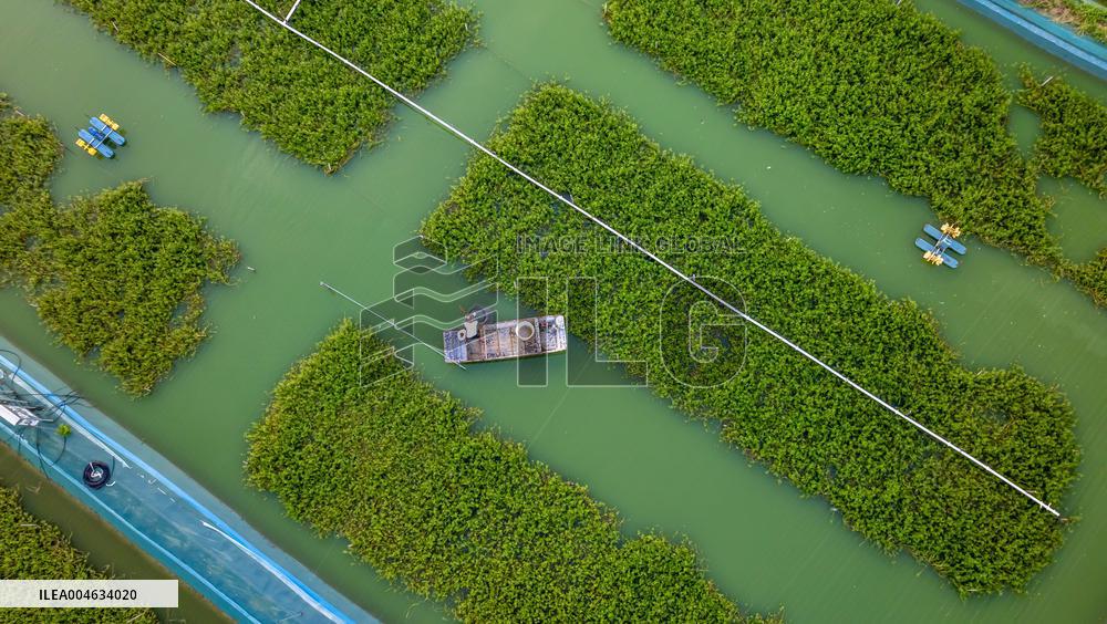 Ecological Crab Breeding Base in Suqian
