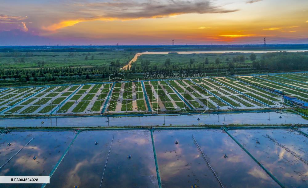 Ecological Crab Breeding Base in Suqian