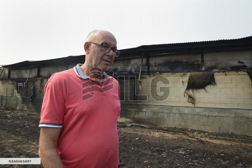 Wildfire in Ourense Burns Over 31,000 Hectares - Spain