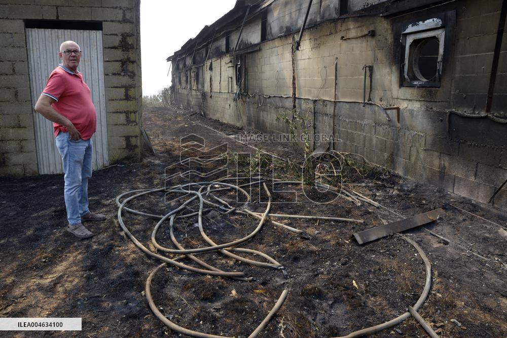 Wildfire in Ourense Burns Over 31,000 Hectares - Spain