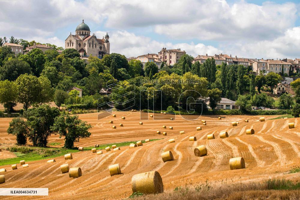Illustration French Farming - France