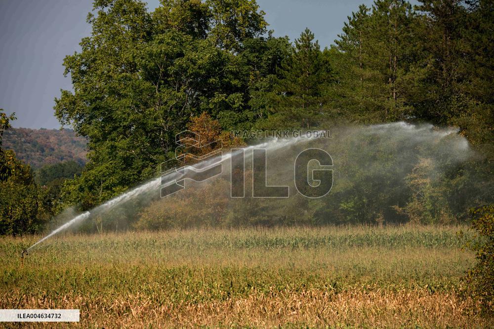 Illustration French Farming - France