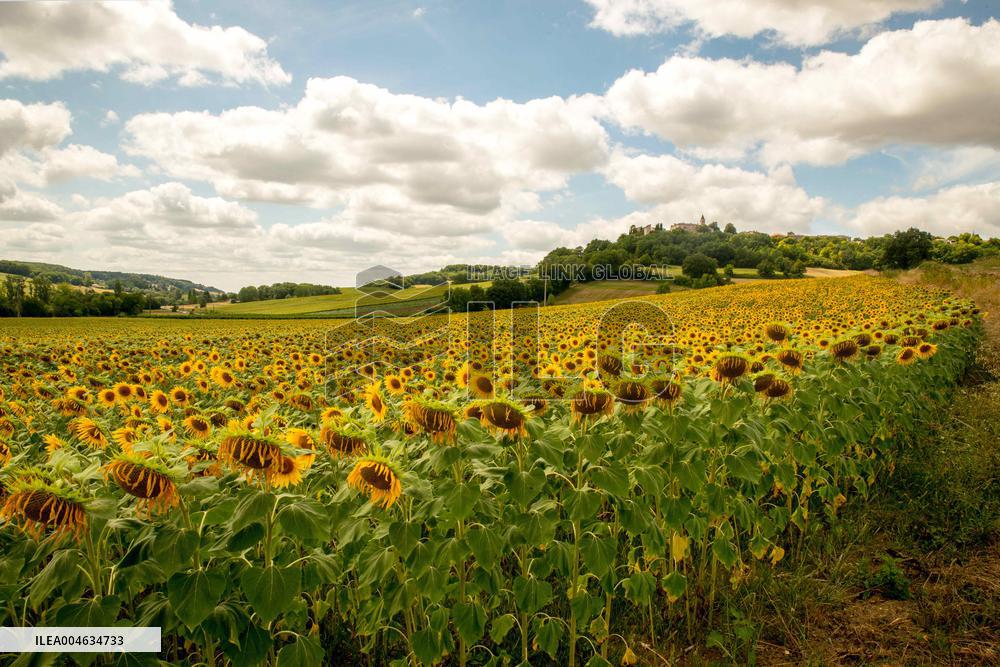 Illustration French Farming - France