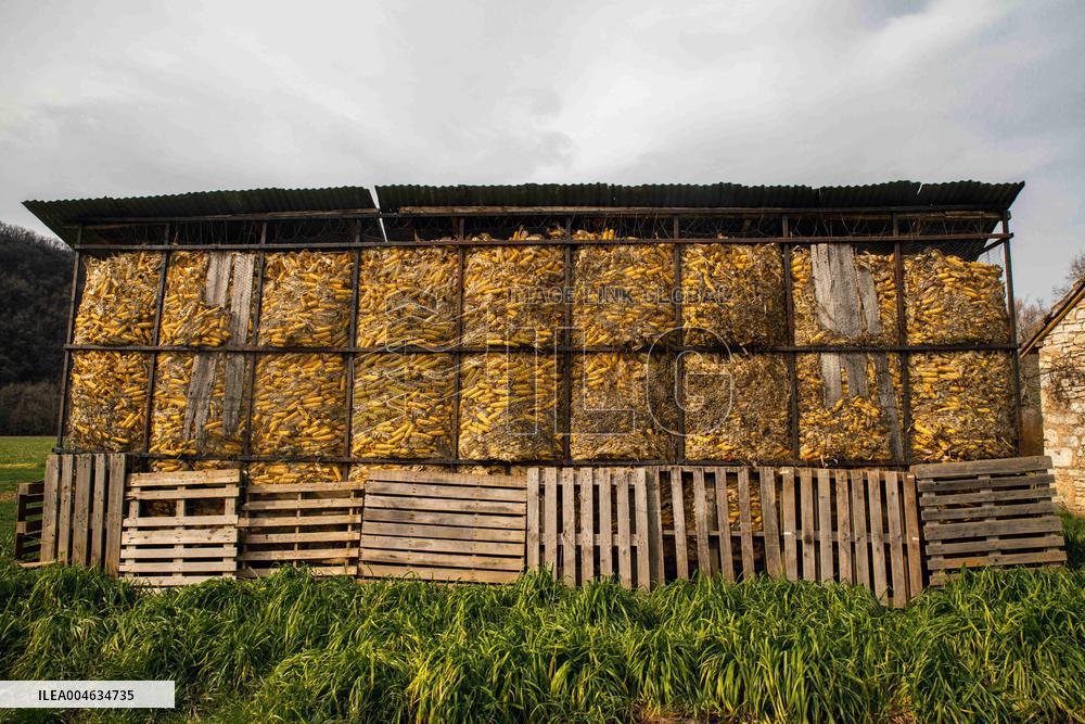 Illustration French Farming - France