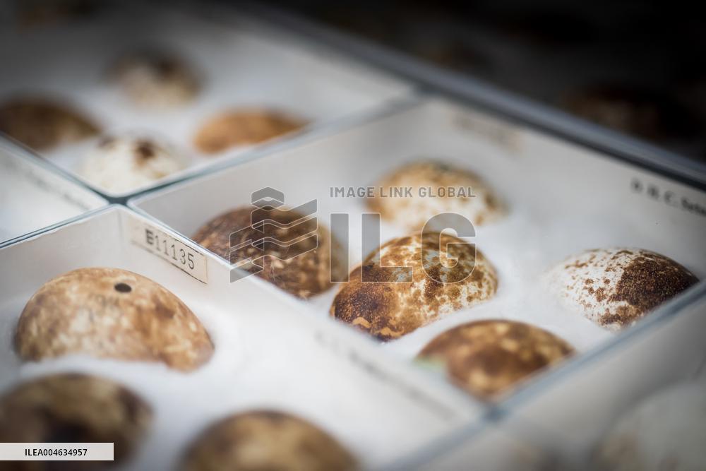 A Biodiversity Center To Safeguard Over 13M Specimens - Canberra