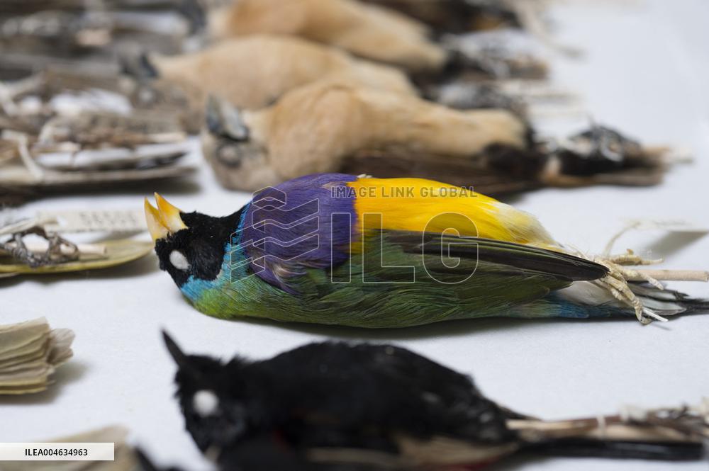 A Biodiversity Center To Safeguard Over 13M Specimens - Canberra