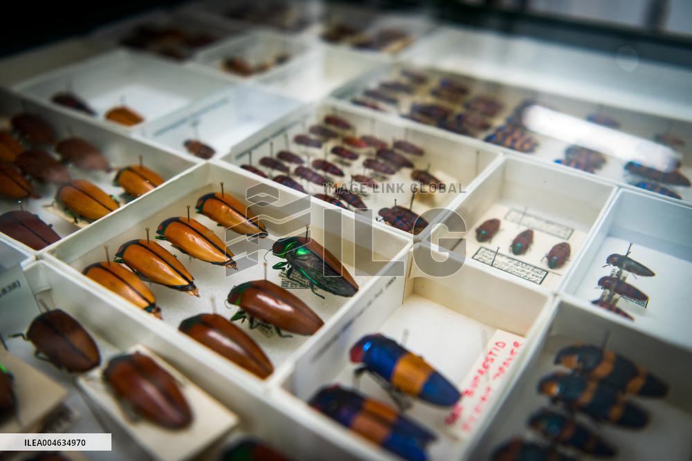 A Biodiversity Center To Safeguard Over 13M Specimens - Canberra