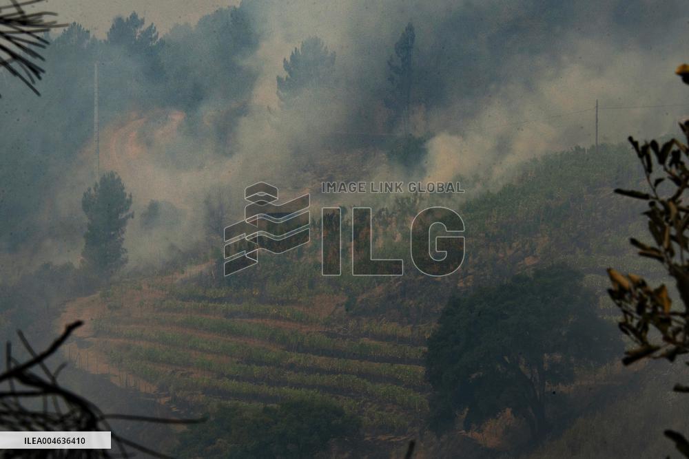 40 Municipalities Lack Garbage Collection After A Rúa Fire - Spain