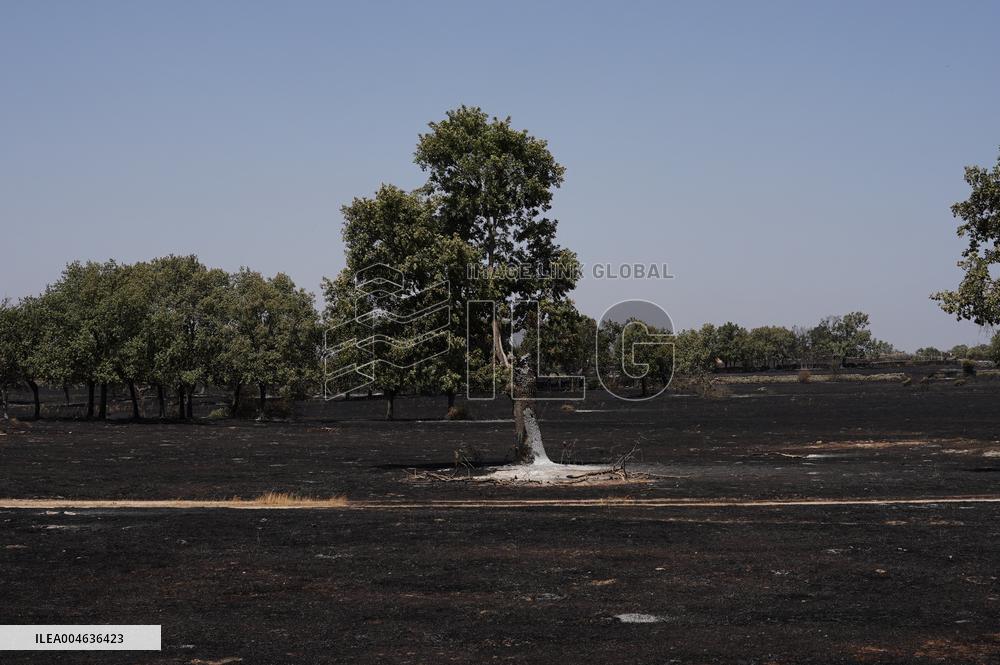 Fires in Cipérez and El Payo Spread Amid Wind and Heat - Spain