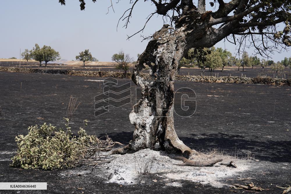 Fires in Cipérez and El Payo Spread Amid Wind and Heat - Spain