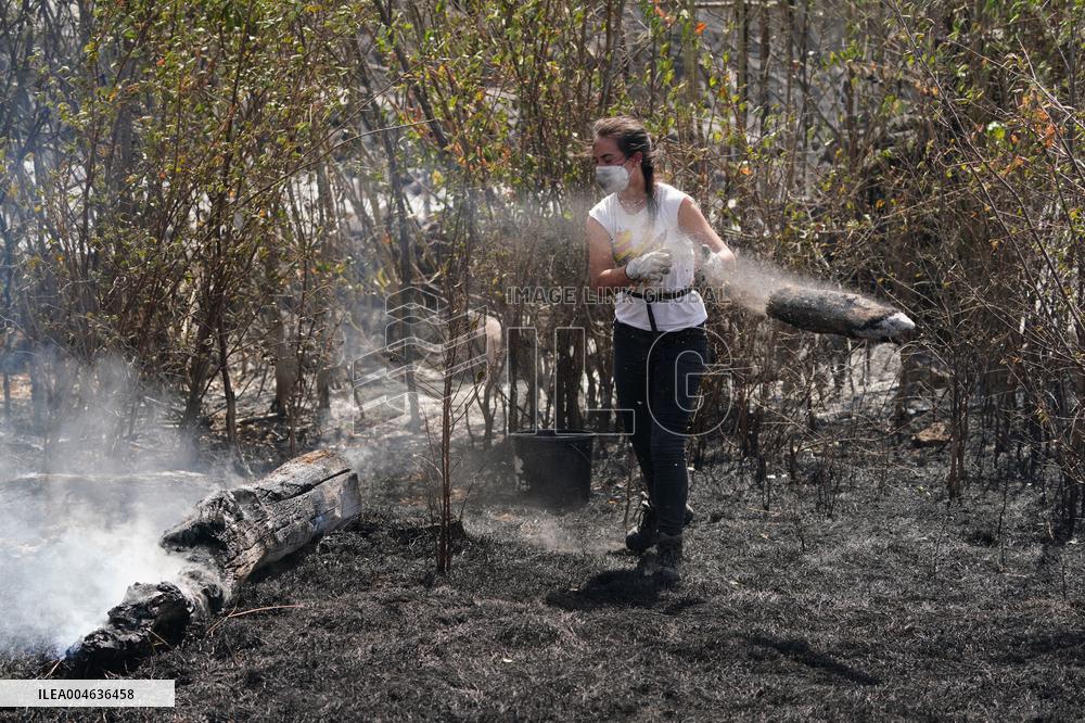 Fires in Cipérez and El Payo Spread Amid Wind and Heat - Spain