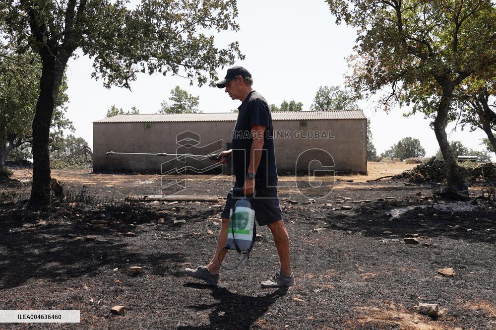 Fires in Cipérez and El Payo Spread Amid Wind and Heat - Spain