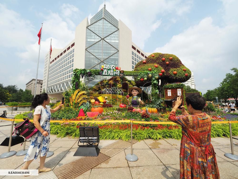 Theme Flower Bed in Beijing