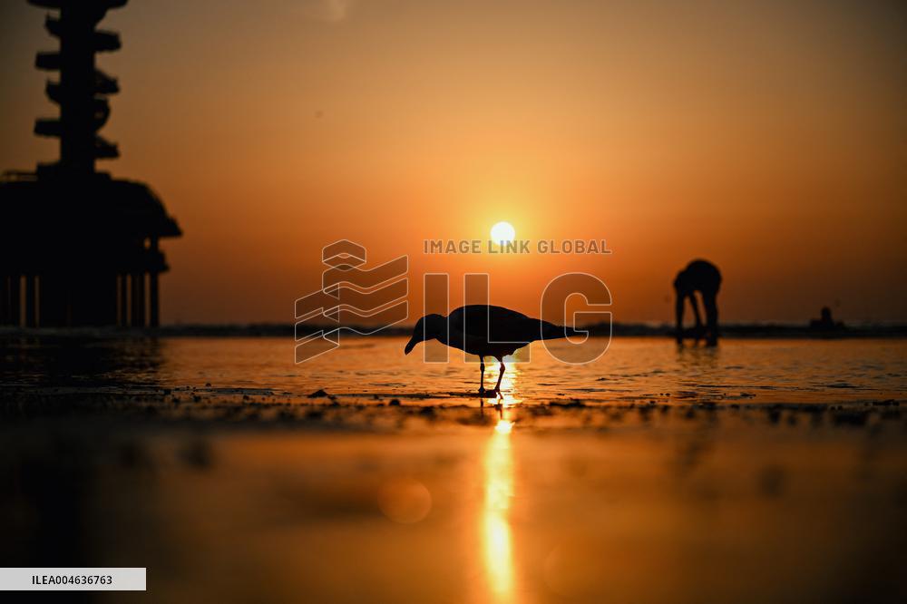 Summer in Netherlands - The Hague