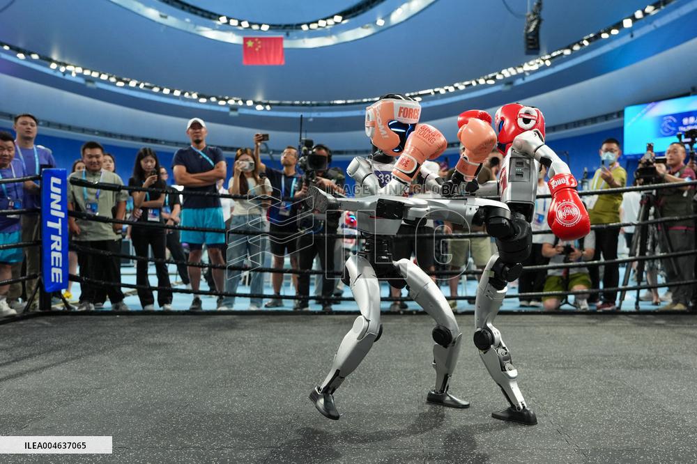 2025 World Humanoid Robot Games - China