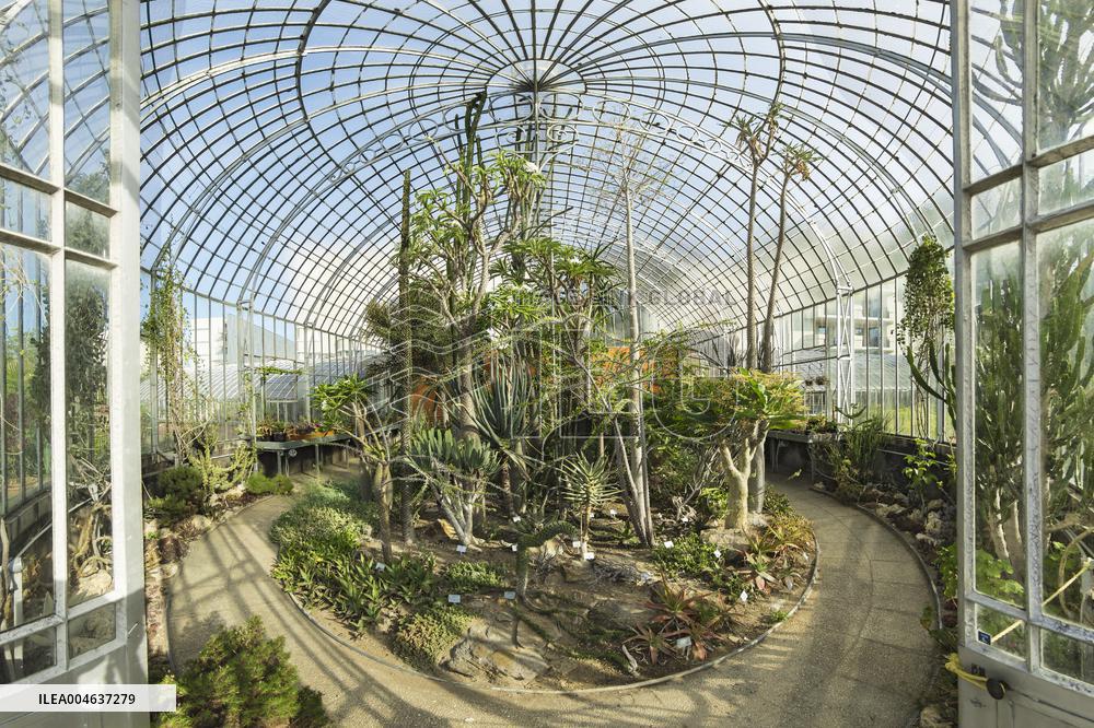 Illustration - Nantes - France